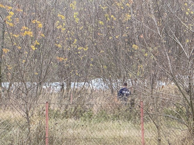 Makabryczne odkrycie. Odnaleziono ciało człowieka. Zwłoki dryfowały w Kanale Żerańskim