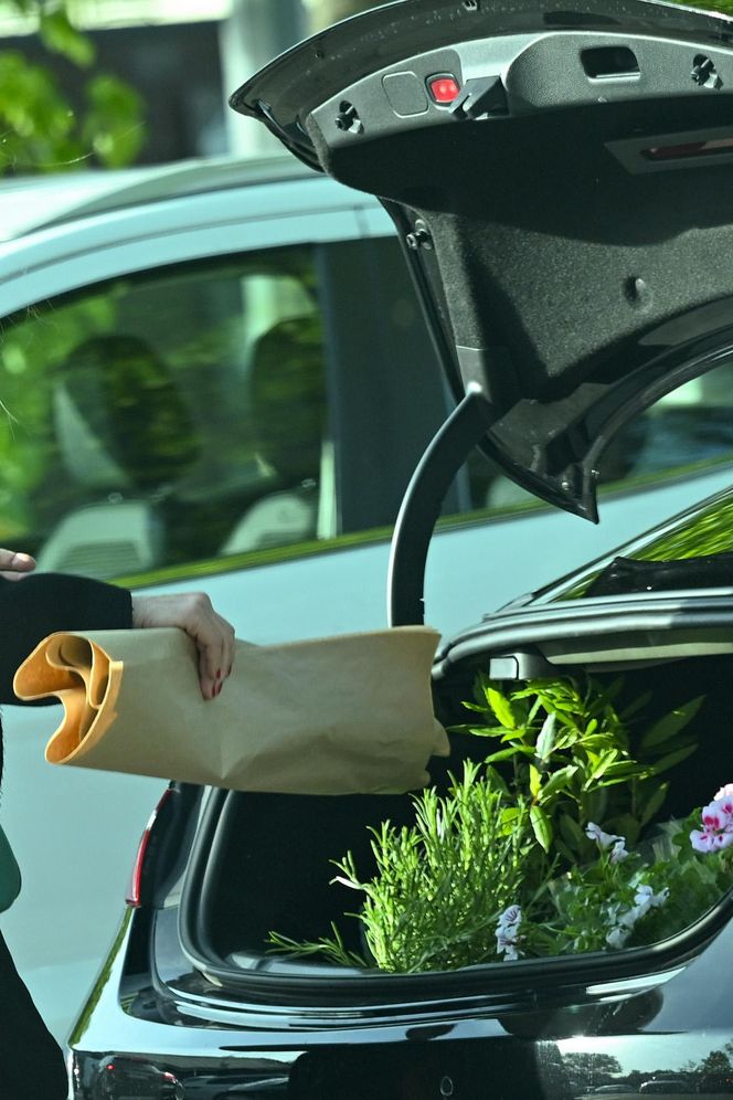 Grażyna Szapołowska sadzi się na wiosnę