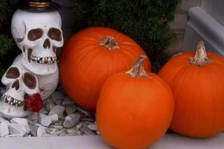 Małgorzata Rozenek-Majdan