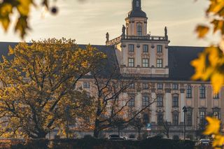 To najlepiej oceniane kierunki studiów we Wrocławiu