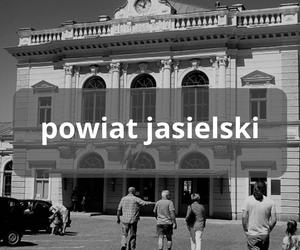 Te regiony na Podkarpaciu straciły najwięcej mieszkańców 