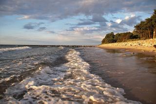 Katastrofa klimatyczna coraz bliżej? Morze Bałtyckie bije REKORDY CIEPŁA!