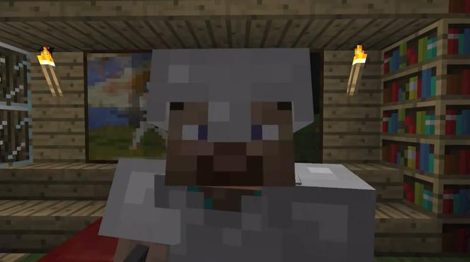 Minecraft
