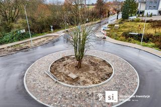 Kasztanowiec trafił na środek ronda