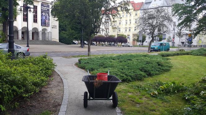 Znika bydgoski busz! To miały być oszczędności i walka z suszą. Ogrodnik ma inne zdanie