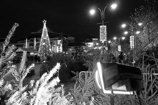 Podekspozycja i zdjęcie prześwietlone. Czy niepoprawność techniczna to błąd?