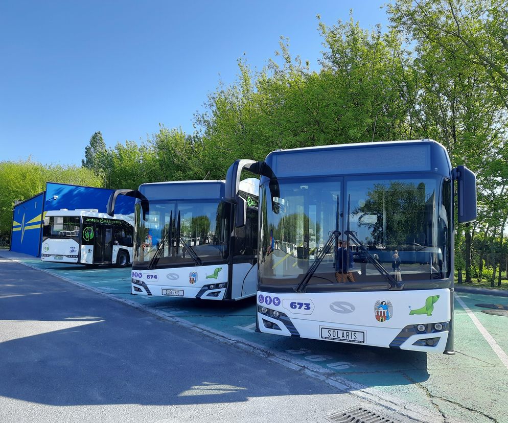 Autobus MZK w Toruniu