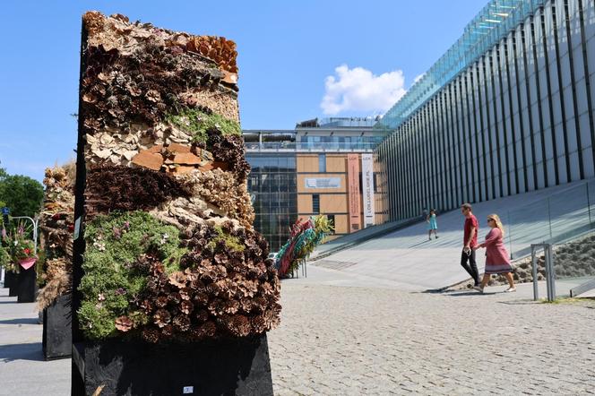 Weekend z florystyką w Lublinie. Zobacz imponujące roślinne instalacje w centrum miasta!