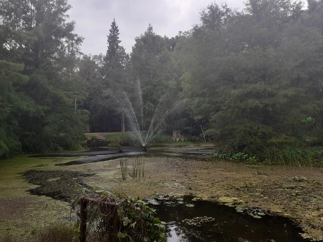 Arboretum Bolestraszyce