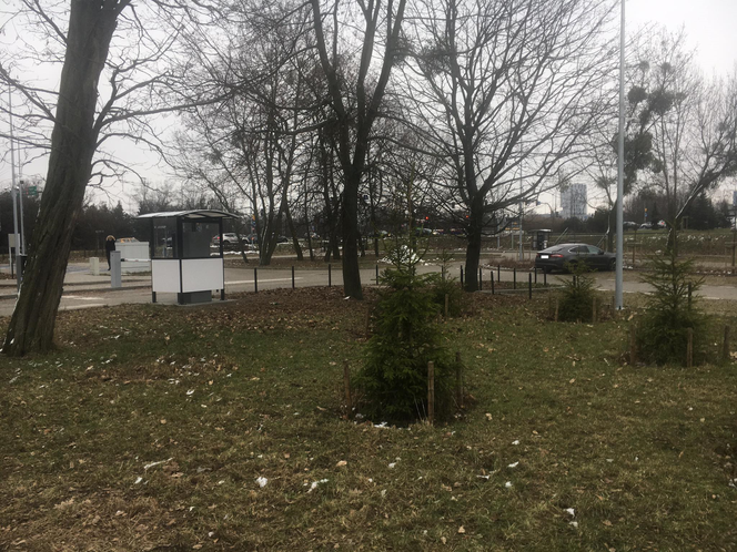 Nowa oferta dla klientów Park&Ride