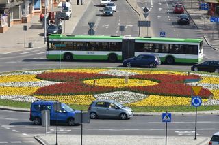 Zmiana rozkładu jazdy autobusów od 1 lipca w Białymstoku. Wchodzi letni rozkład jazdy BKM