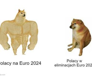 Polska - Holandia MEMY