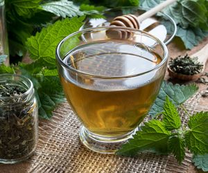 Na odporność, anemię i trawienie. Już nasze babcie znały siłę tego zioła