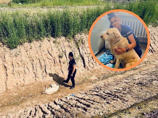 Leżał w rowie i nie miał siły się wydostać. Oto historia 15-letniego Neo