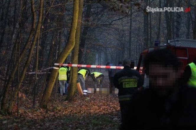 Katowice. Morderstwo w Parku Kościuszki