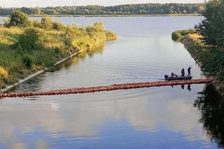Przedłużono zakaz korzystania z jeziora Dzierżno Duże. Odłowiono już ponad 111 ton śniętych ryb