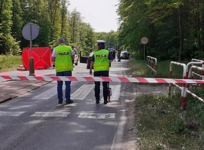 Jarocin. Zmasakrował na drodze piękną Agatę. 19-latek z zarzutami!