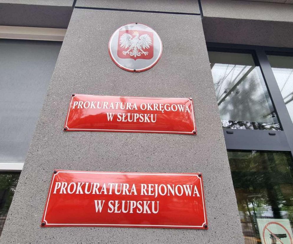 Nowe informacje o śmierci 2,5-latki. Adwokat matki zastępczej zabrał głos