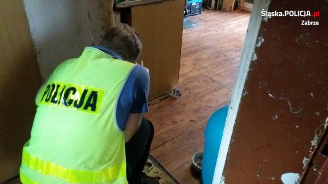 Zadźgał mamę i próbował się zabić