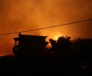 Pożary w Grecji i we Włoszech
