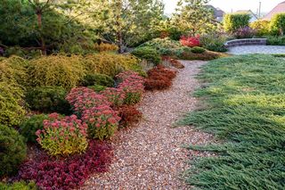 Ścieżka w ogrodzie