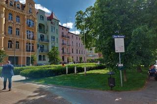 Plac Wolności do remontu. Radni na jego czas wyłączyli ochronę nad cennym drzewem