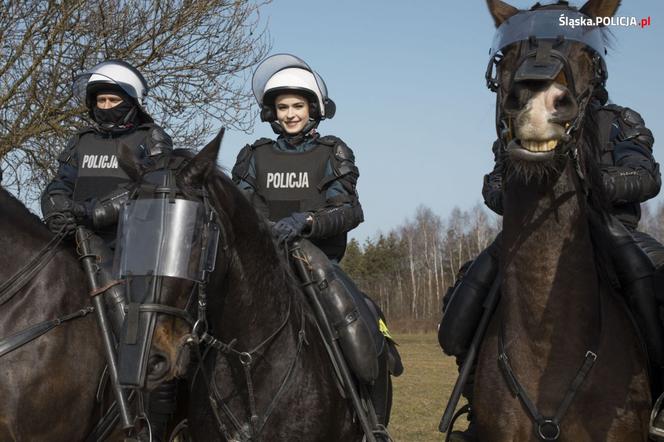 Miss Polski 2020 kusiła policjantów i rozdawała całusy! Piękna Anna-Maria Jaromin była bardzo przekonująca