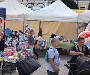 Cukier skakał od samego patrzenia! Tak w Lublinie wyglądał Bajkowy Festiwal Słodkości i Smaku