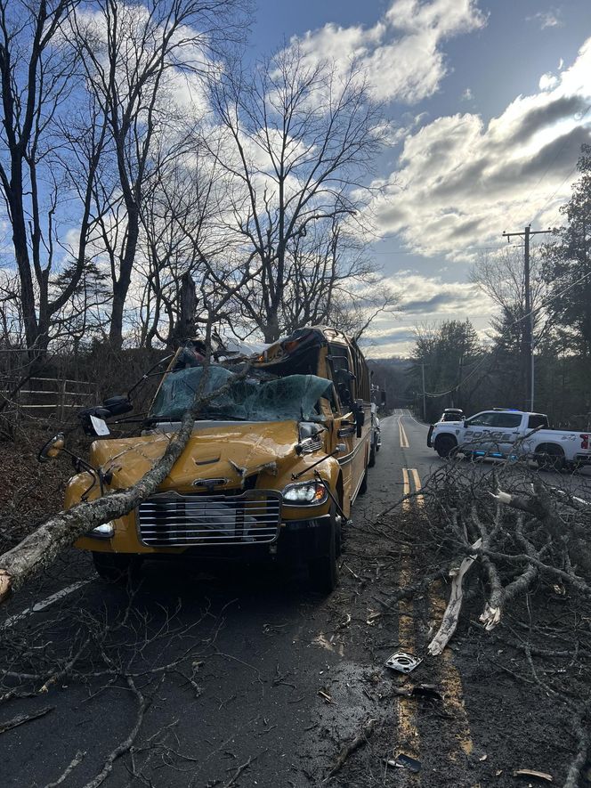 Drzewo runęło na szkolny autobus w New Jersey