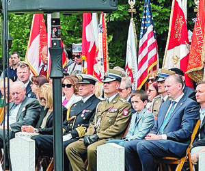 Cześć ochotnikom Błękitnej Armii