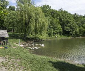 Park Wiener Prater