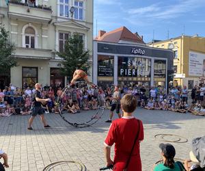 Busker Tour 2024 w Zielonej Górze