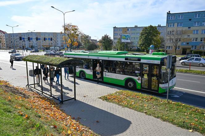 11 nowych zielonych przystanków pojawi się na terenie Białegostoku