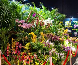 Ponad 100 000 roślin i pięć niezwykłych światów – rusza World Flower Show w Polsce!