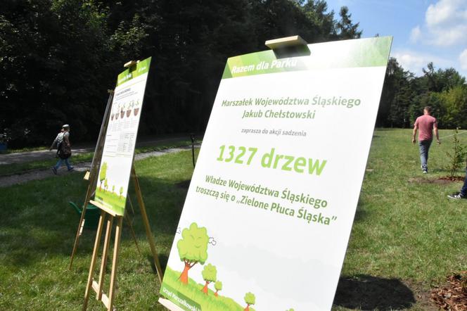 Park Śląski: AKCJA 1327 DRZEW Patryk 