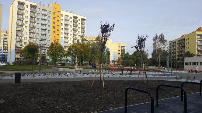 W Dąbrowie Górniczej stanęło pierwsze w Polsce wodne drzewo. Jest jednym z elementów Placu Aktywności Mieszkańców [ZDJĘCIA, WIDEO]