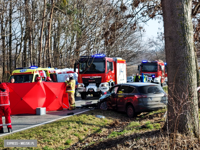 Wypadek na drodze wojewódzkiej nr 395 pod Ziębicami 