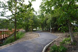 Staw na osiedlu Bema bliski ukończenia