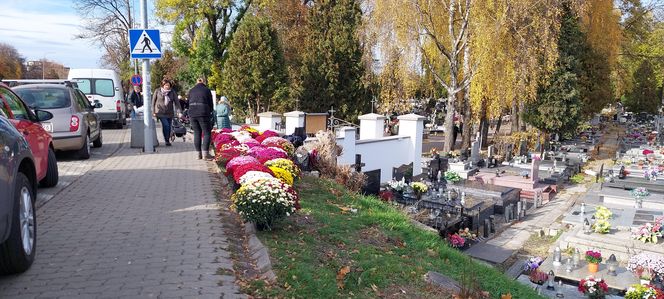 Przygotowania do Wszystkich Świętych Zamość