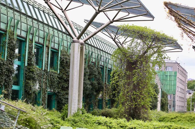 Dlaczego? Sprawdź opis.