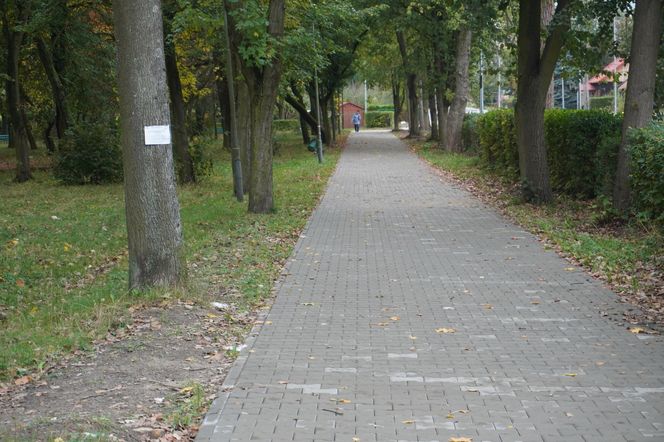 Park w Skarżysku-Kamiennej w opłakanym stanie! 