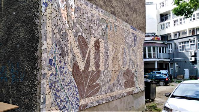 Mozaika "Miłość" na podwórku w centrum Szczecina