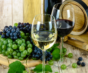 Uprawy winorośli zagrożone! Na świecie może zabraknąć wina!