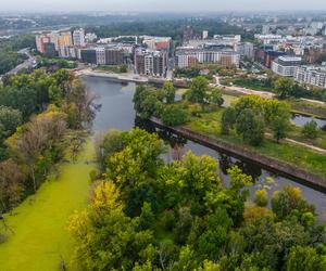 Port Praski - widok z drona, wrzesień 2024