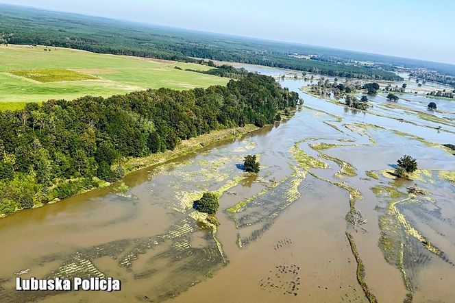 Fala powodziowa na Odrze dotarła do województwa lubuskiego. Działania służb