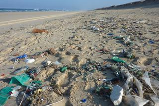  Odżyj rzeko: Mieszkańcy posprzątają w weekend nadwiślańskie plaże!  