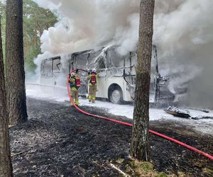 Pożar autobusu z przedszkolakami w Wielkopolsce! W pojeździe było 44 dzieci i 5 opiekunów
