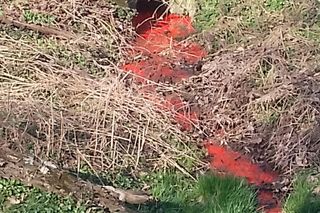 Wątok w Tarnowie stał się czerwony jak cegła. Sprawą zajmie się prokuratura