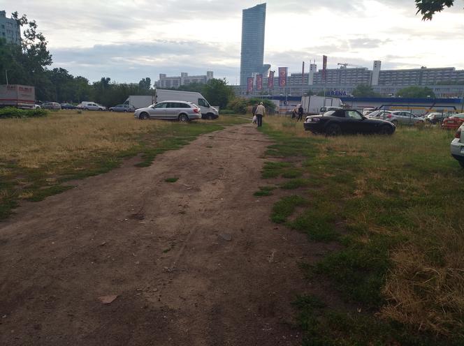 Wzdłuż parkingu Centrum Handlowego Arena wyrosną drzewa