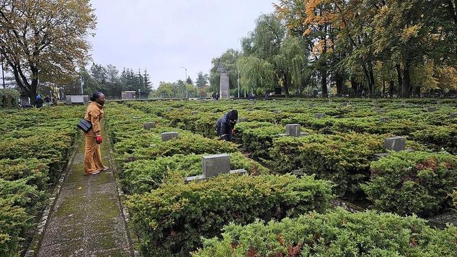 Żołnierze US Army sprzątają groby polskich żołnierzy 